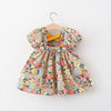 Summer Floral Princess Dress for Baby Girls