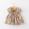 Summer Floral Princess Dress for Baby Girls